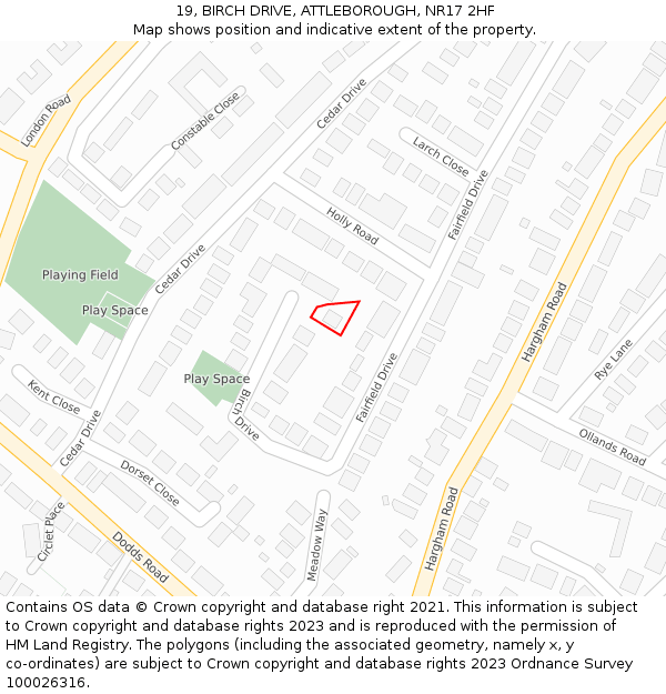 19, BIRCH DRIVE, ATTLEBOROUGH, NR17 2HF: Location map and indicative extent of plot