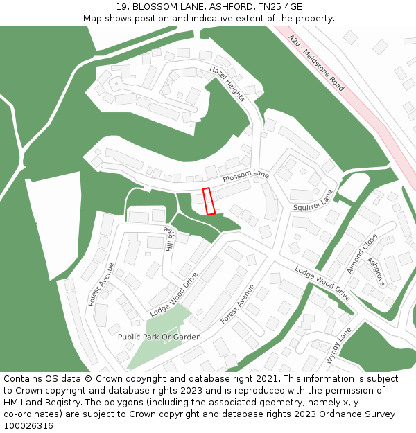 19, BLOSSOM LANE, ASHFORD, TN25 4GE: Location map and indicative extent of plot