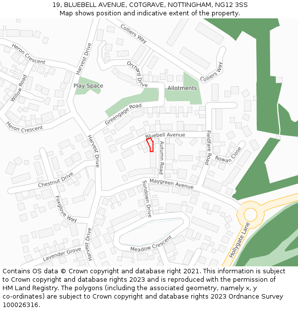 19, BLUEBELL AVENUE, COTGRAVE, NOTTINGHAM, NG12 3SS: Location map and indicative extent of plot