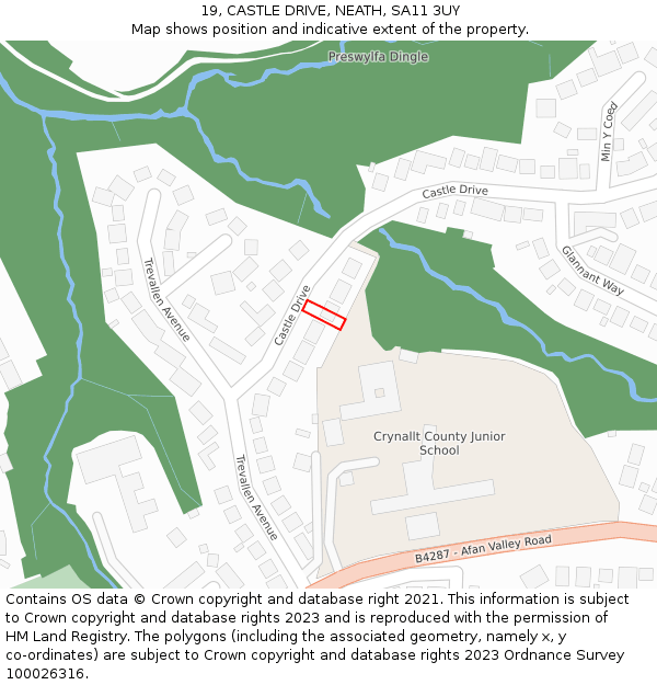 19, CASTLE DRIVE, NEATH, SA11 3UY: Location map and indicative extent of plot