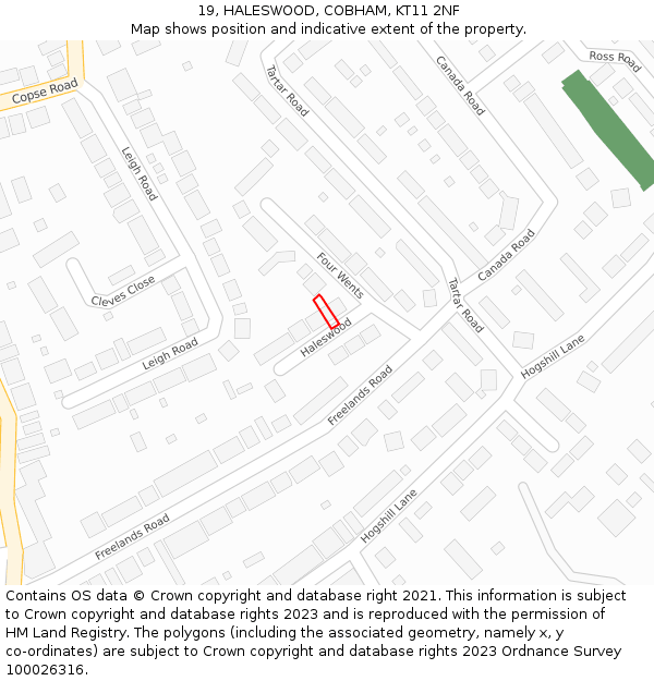 19, HALESWOOD, COBHAM, KT11 2NF: Location map and indicative extent of plot