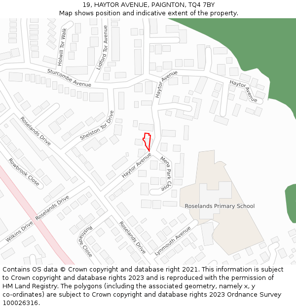 19, HAYTOR AVENUE, PAIGNTON, TQ4 7BY: Location map and indicative extent of plot