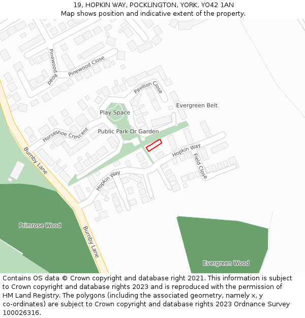 19, HOPKIN WAY, POCKLINGTON, YORK, YO42 1AN: Location map and indicative extent of plot