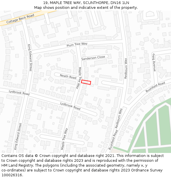19, MAPLE TREE WAY, SCUNTHORPE, DN16 1LN: Location map and indicative extent of plot