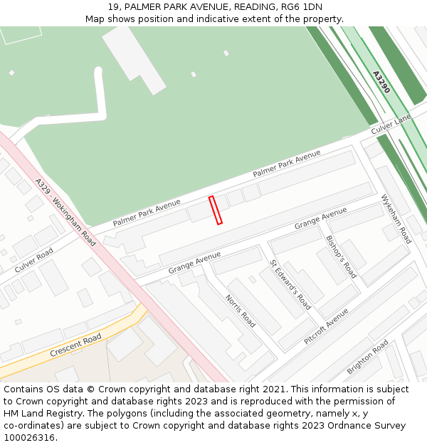 19, PALMER PARK AVENUE, READING, RG6 1DN: Location map and indicative extent of plot