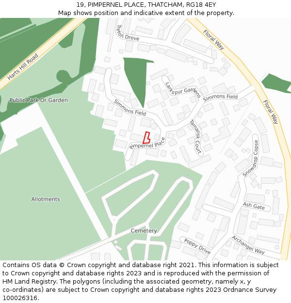 19, PIMPERNEL PLACE, THATCHAM, RG18 4EY: Location map and indicative extent of plot