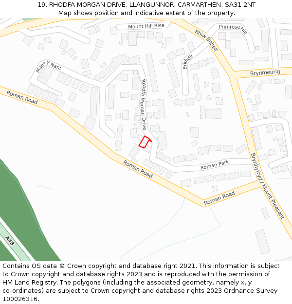 19, RHODFA MORGAN DRIVE, LLANGUNNOR, CARMARTHEN, SA31 2NT: Location map and indicative extent of plot