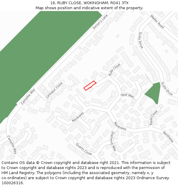 19, RUBY CLOSE, WOKINGHAM, RG41 3TX: Location map and indicative extent of plot