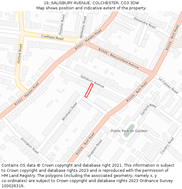 19, SALISBURY AVENUE, COLCHESTER, CO3 3DW: Location map and indicative extent of plot