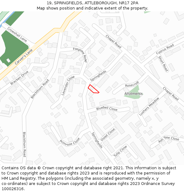 19, SPRINGFIELDS, ATTLEBOROUGH, NR17 2PA: Location map and indicative extent of plot