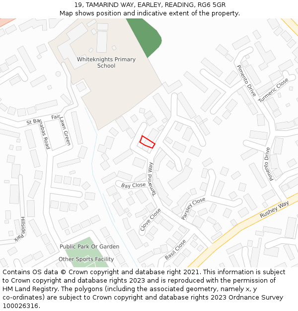 19, TAMARIND WAY, EARLEY, READING, RG6 5GR: Location map and indicative extent of plot