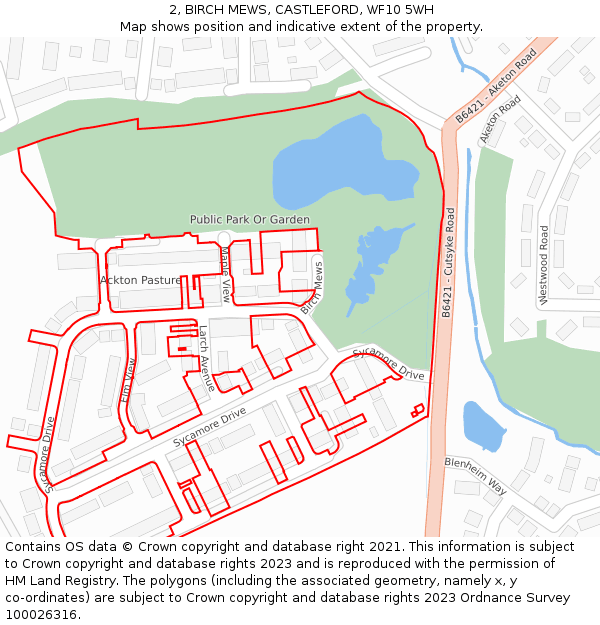 2, BIRCH MEWS, CASTLEFORD, WF10 5WH: Location map and indicative extent of plot