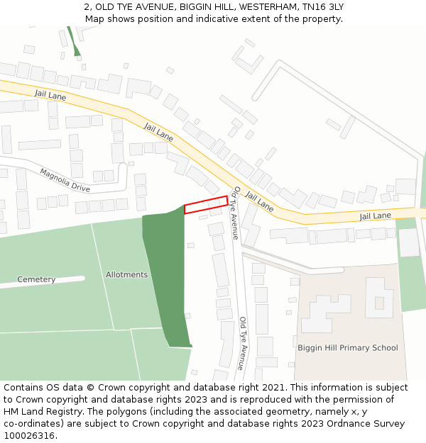 2, OLD TYE AVENUE, BIGGIN HILL, WESTERHAM, TN16 3LY: Location map and indicative extent of plot