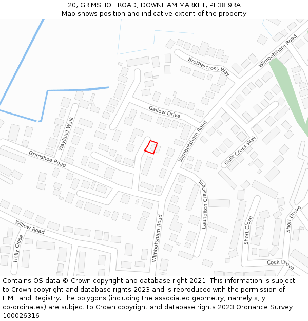 20, GRIMSHOE ROAD, DOWNHAM MARKET, PE38 9RA: Location map and indicative extent of plot