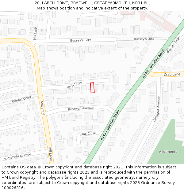 20, LARCH DRIVE, BRADWELL, GREAT YARMOUTH, NR31 8HJ: Location map and indicative extent of plot