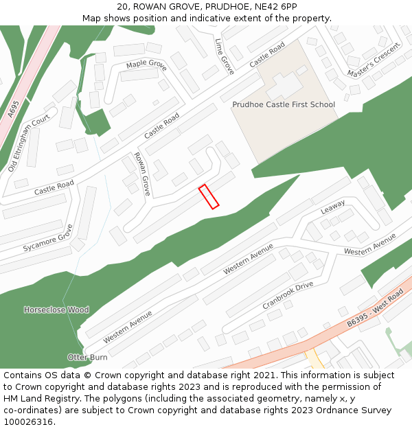 20, ROWAN GROVE, PRUDHOE, NE42 6PP: Location map and indicative extent of plot