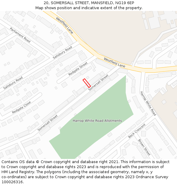 20, SOMERSALL STREET, MANSFIELD, NG19 6EP: Location map and indicative extent of plot