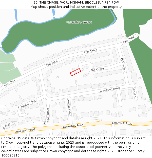 20, THE CHASE, WORLINGHAM, BECCLES, NR34 7DW: Location map and indicative extent of plot