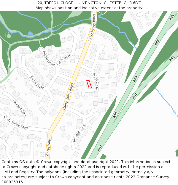 20, TREFOIL CLOSE, HUNTINGTON, CHESTER, CH3 6DZ: Location map and indicative extent of plot