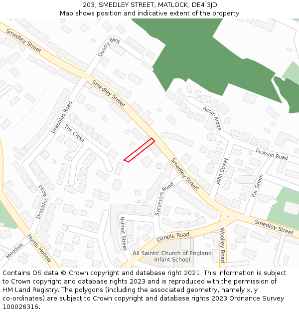 203, SMEDLEY STREET, MATLOCK, DE4 3JD: Location map and indicative extent of plot