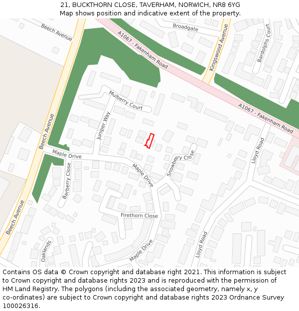 21, BUCKTHORN CLOSE, TAVERHAM, NORWICH, NR8 6YG: Location map and indicative extent of plot