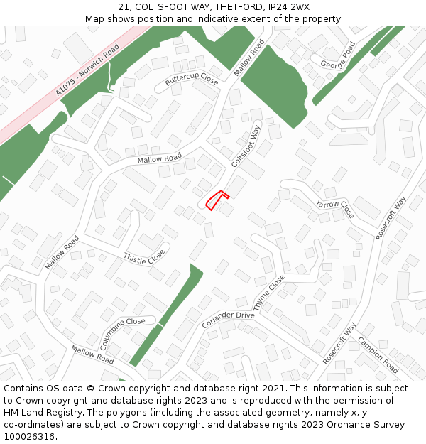 21, COLTSFOOT WAY, THETFORD, IP24 2WX: Location map and indicative extent of plot