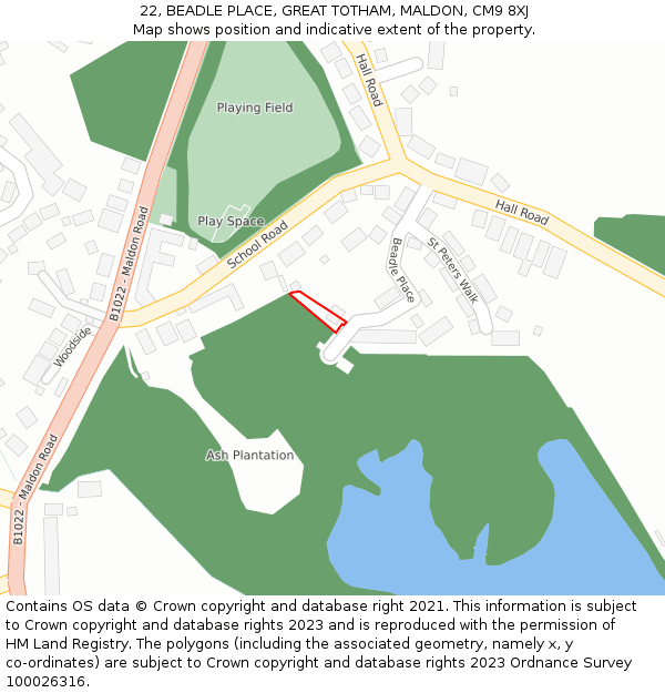 22, BEADLE PLACE, GREAT TOTHAM, MALDON, CM9 8XJ: Location map and indicative extent of plot