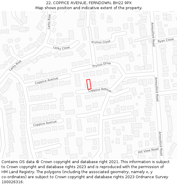 22, COPPICE AVENUE, FERNDOWN, BH22 9PX: Location map and indicative extent of plot