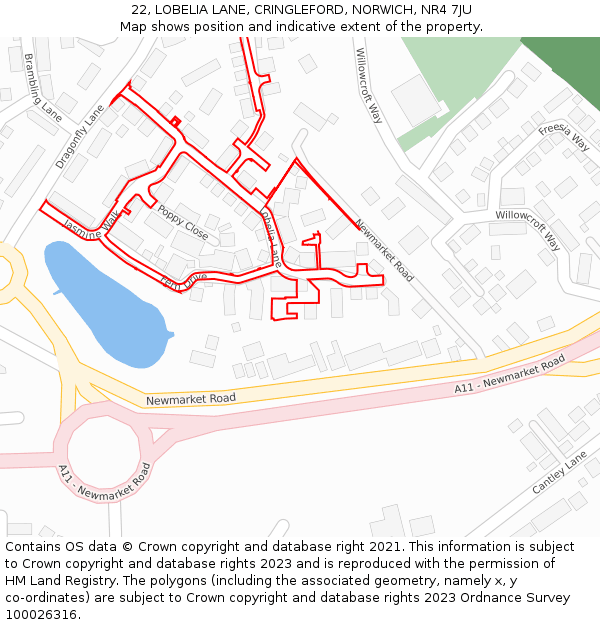 22, LOBELIA LANE, CRINGLEFORD, NORWICH, NR4 7JU: Location map and indicative extent of plot
