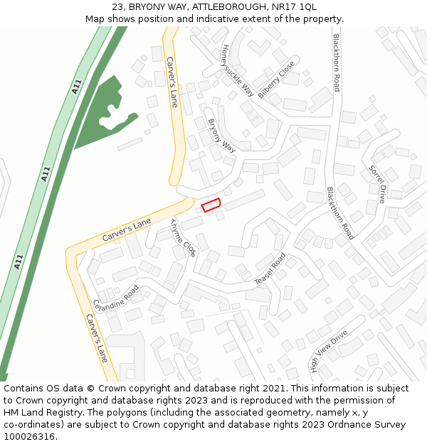 23, BRYONY WAY, ATTLEBOROUGH, NR17 1QL: Location map and indicative extent of plot