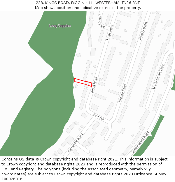 238, KINGS ROAD, BIGGIN HILL, WESTERHAM, TN16 3NT: Location map and indicative extent of plot