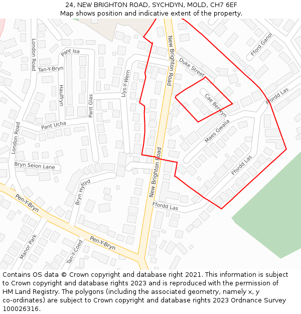 24, NEW BRIGHTON ROAD, SYCHDYN, MOLD, CH7 6EF: Location map and indicative extent of plot