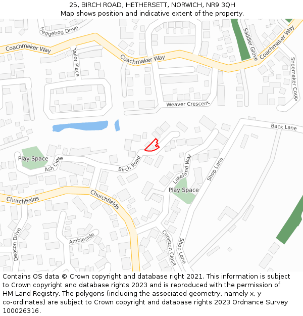 25, BIRCH ROAD, HETHERSETT, NORWICH, NR9 3QH: Location map and indicative extent of plot