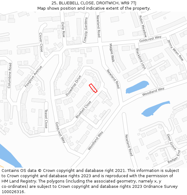 25, BLUEBELL CLOSE, DROITWICH, WR9 7TJ: Location map and indicative extent of plot