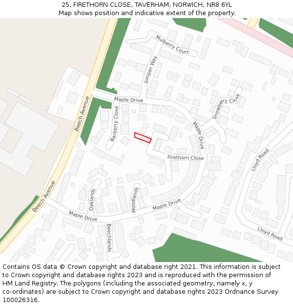 25, FIRETHORN CLOSE, TAVERHAM, NORWICH, NR8 6YL: Location map and indicative extent of plot