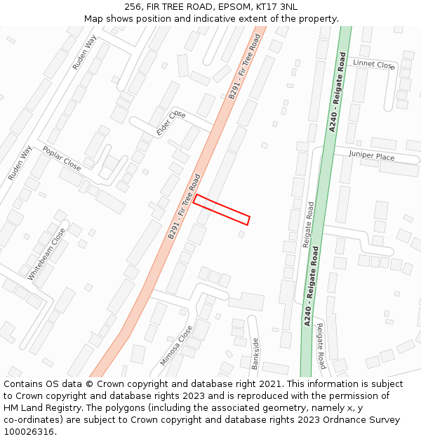 256, FIR TREE ROAD, EPSOM, KT17 3NL: Location map and indicative extent of plot