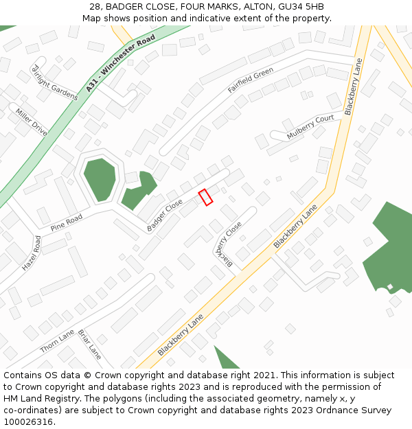 28, BADGER CLOSE, FOUR MARKS, ALTON, GU34 5HB: Location map and indicative extent of plot