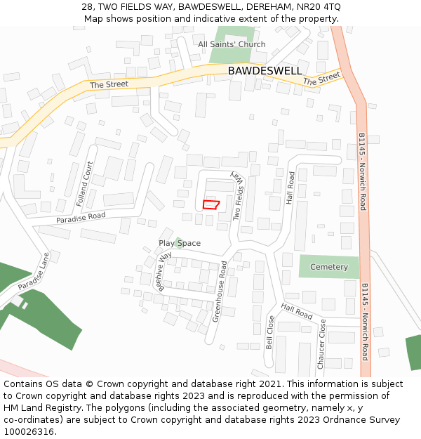 28, TWO FIELDS WAY, BAWDESWELL, DEREHAM, NR20 4TQ: Location map and indicative extent of plot