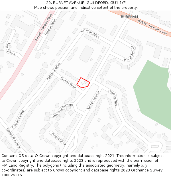 29, BURNET AVENUE, GUILDFORD, GU1 1YF: Location map and indicative extent of plot