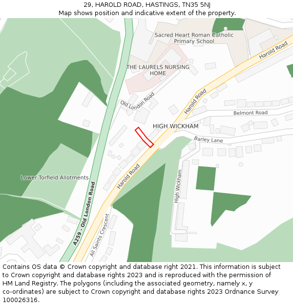 29, HAROLD ROAD, HASTINGS, TN35 5NJ: Location map and indicative extent of plot