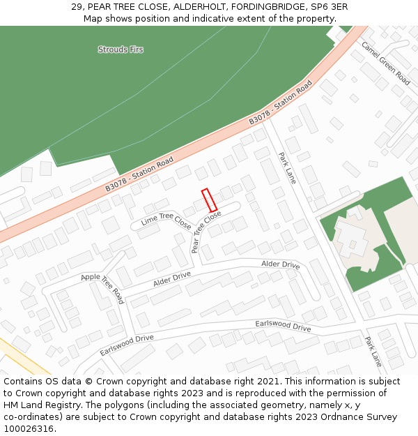 29, PEAR TREE CLOSE, ALDERHOLT, FORDINGBRIDGE, SP6 3ER: Location map and indicative extent of plot