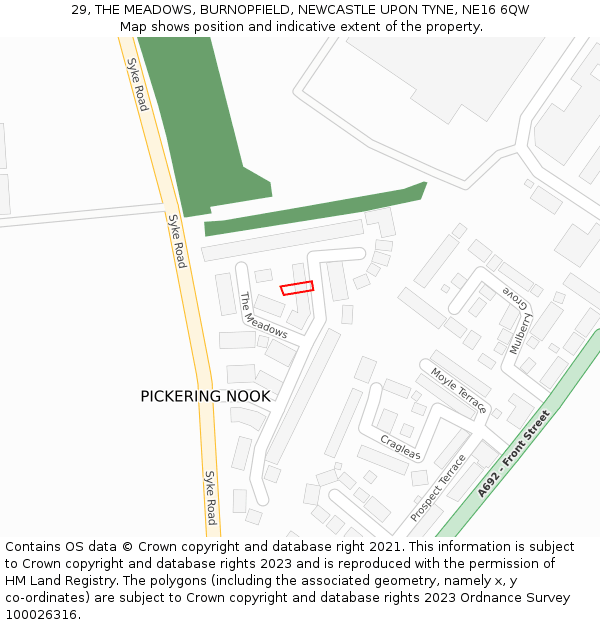29, THE MEADOWS, BURNOPFIELD, NEWCASTLE UPON TYNE, NE16 6QW: Location map and indicative extent of plot