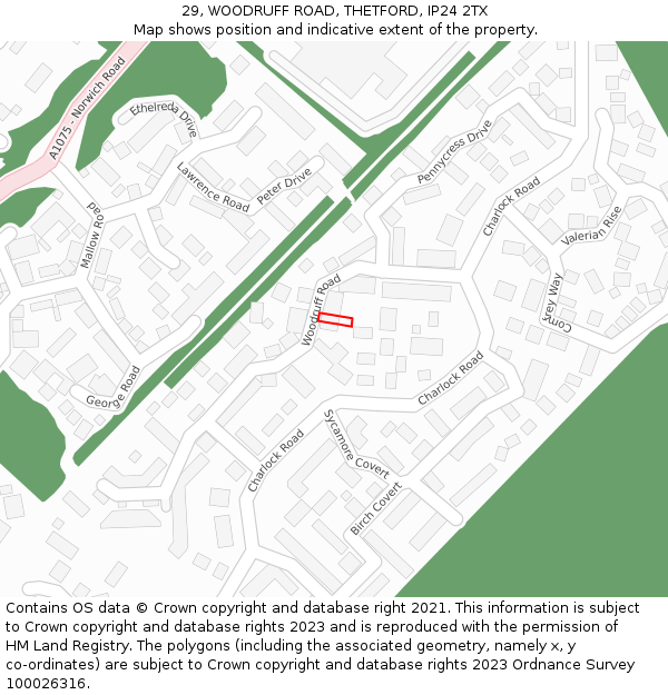 29, WOODRUFF ROAD, THETFORD, IP24 2TX: Location map and indicative extent of plot