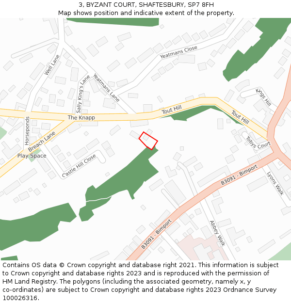 3, BYZANT COURT, SHAFTESBURY, SP7 8FH: Location map and indicative extent of plot