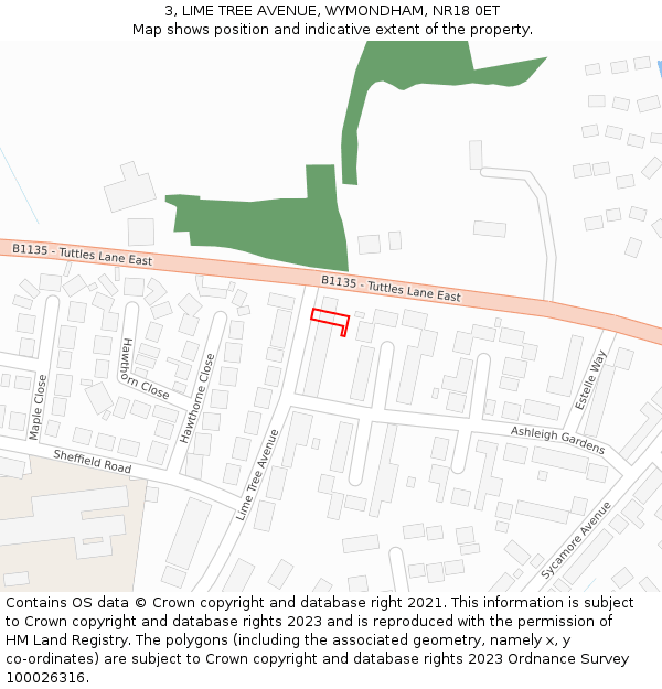 3, LIME TREE AVENUE, WYMONDHAM, NR18 0ET: Location map and indicative extent of plot