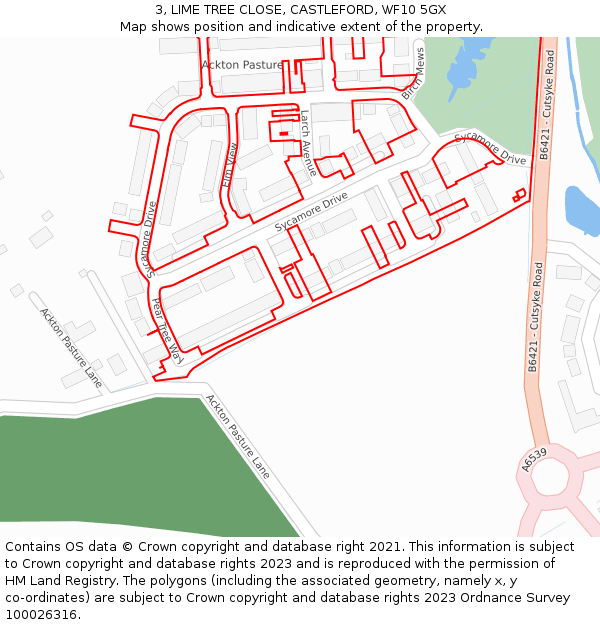 3, LIME TREE CLOSE, CASTLEFORD, WF10 5GX: Location map and indicative extent of plot