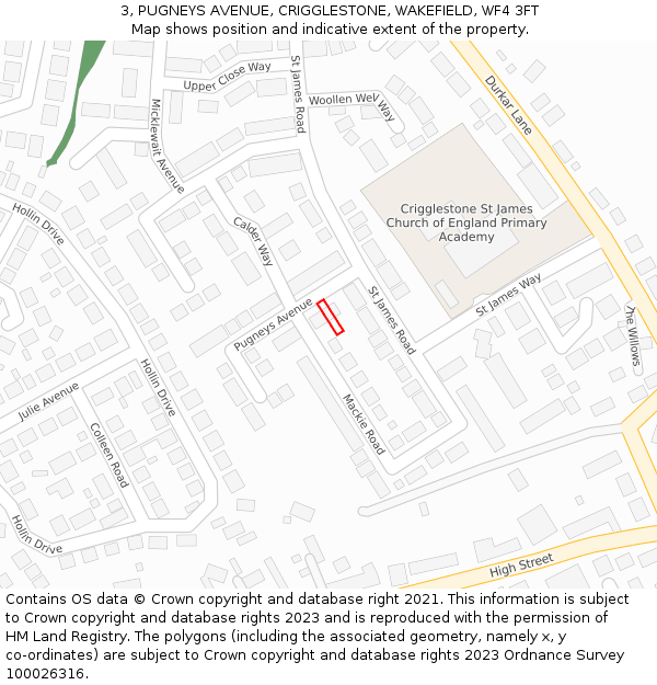 3, PUGNEYS AVENUE, CRIGGLESTONE, WAKEFIELD, WF4 3FT: Location map and indicative extent of plot