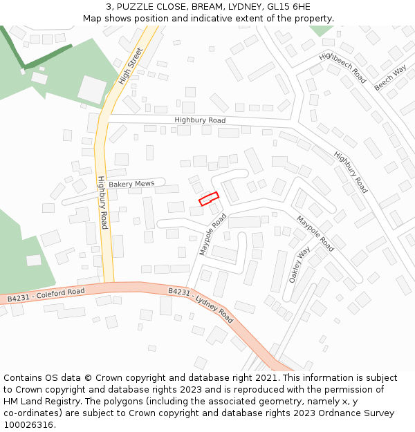 3, PUZZLE CLOSE, BREAM, LYDNEY, GL15 6HE: Location map and indicative extent of plot