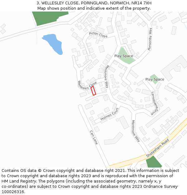 3, WELLESLEY CLOSE, PORINGLAND, NORWICH, NR14 7XH: Location map and indicative extent of plot