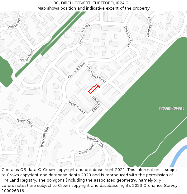 30, BIRCH COVERT, THETFORD, IP24 2UL: Location map and indicative extent of plot